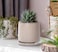 D'vine Dev Dvine Dev 4 Inch Ceramic Beaded Stoneware Planter Pot Flower Pot with Drainage Holes and Saucers for Indoor Succulent Plants or Flowers Light Brown 27CZ4