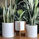D'vine Dev Dvine Dev 8 Inch 10 Inch 12 Inch Set of 3 Plastic Planter Pots for Plants with Drainage Hole and Seamless Saucers White Color XLarge 74VA5