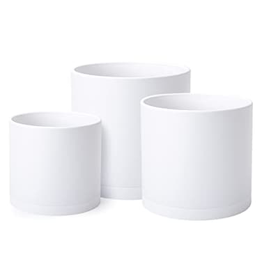 D'vine Dev Dvine Dev 8 Inch 10 Inch 12 Inch Set of 3 Plastic Planter Pots for Plants with Drainage Hole and Seamless Saucers White Color XLarge 74VA5