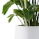 Kante 157 Dia Round Concrete Planter Outdoor Indoor Garden Plant Pots with Drainage Hole and Rubber Plug Modern Curvaceous Design Pure White
