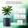Kante 98 Medium Concrete Planter Compact Cylinder Plant Pot with Drainage Hole Rubber Plug Breathable Handmade Cement Container for Desk Tabletop Indoor Outdoor Charcoal Gray
