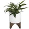 LA JOLIE LA Jolie Muse Ceramic Planter with Wood Stand 8 Inch White Cylinder Embossed Hobnail Patterned Flower Plant Pot Indoor