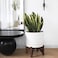 LA JOLIE LA Jolie Muse Ceramic Planter with Wood Stand 8 Inch White Cylinder Embossed Hobnail Patterned Flower Plant Pot Indoor