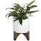 LA JOLIE LA Jolie Muse Ceramic Planter with Wood Stand 8 Inch White Cylinder Embossed Hobnail Patterned Flower Plant Pot Indoor