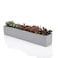 Ten-stone Tenstone 145Inch Grey Rectangle Concrete Succulent Planter Windowsill Boxes