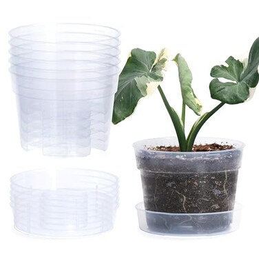 Phoenix Vine 6 Inch Clear Plastic Plant Pot with Drainage Holes Interlocking Detachable Tray Deep Saucer Durable BPAFree Plastic Transparent Design Raised Base for Airflow Set of 6 92XA4