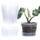 Phoenix Vine 6 Inch Clear Plastic Plant Pot with Drainage Holes Interlocking Detachable Tray Deep Saucer Durable BPAFree Plastic Transparent Design Raised Base for Airflow Set of 6 92XA4