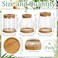 Beeveer 6 Pcs Plants Propagation Station Separated Desktop Plant Terrarium with Wood Lid and Stand 3 Sizes Glass Planter Propagated Jars Propagation Vases for Indoor Home Classic Style