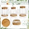 Beeveer 6 Pcs Plants Propagation Station Separated Desktop Plant Terrarium with Wood Lid and Stand 3 Sizes Glass Planter Propagated Jars Propagation Vases for Indoor Home Classic Style
