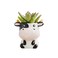 DIYOMR Cute Animal Ceramics Planter Small Succulent Pot Cartoon Shaped Plant Pot for Mini Plants Flower Cactus Smooth Shiny Ceramic Plants Not Included Cow