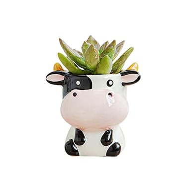 DIYOMR Cute Animal Ceramics Planter Small Succulent Pot Cartoon Shaped Plant Pot for Mini Plants Flower Cactus Smooth Shiny Ceramic Plants Not Included Cow