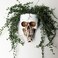 Dolkgy Skull Wall Planter for Indoor Outdoor Plants Hanging Skull Vase Unique Face Flower Pot Head Planters White Resin Skeleton Gothic Planter for Home Decorations