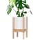 D'vine Dev Dvine Dev Planter Pot with Stand 8 Inch Plastic Cylinder Flower Pot with Wood Planter Holder for Indoor Matte White Pot Natural Stand 55CJ1