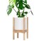 D'vine Dev Dvine Dev Planter Pot with Stand 8 Inch Plastic Cylinder Flower Pot with Wood Planter Holder for Indoor Matte White Pot Natural Stand 55CJ1