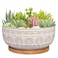 Eightpot 8 Inch Ceramic Succulent Planter Pot with Drainage Hole and Saucer Round Shallow Planter for Indoor Plants White