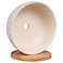 Eightpot 8 Inch Ceramic Succulent Planter Pot with Drainage Hole and Saucer Round Shallow Planter for Indoor Plants White
