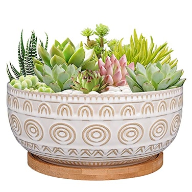 Eightpot 8 Inch Ceramic Succulent Planter Pot with Drainage Hole and Saucer Round Shallow Planter for Indoor Plants White
