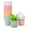 GARDIFE 20 Pack 4 inch Plant pots planters for Indoor Plants Flower pots Color
