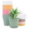 GARDIFE 20 Pack 6 inch Plant pots planters for Indoor Plants Flower pots Color