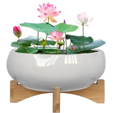 MUZHI White Ceramic Water Lotus Bowl Planter Pot with Bamboo Stand 78 Lotus Shape Hydroponic Water Lily Flower Pot Planter No Drainage Hole
