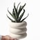 SANDYBAYTAS Ceramic Plant Pot Indoor 65 Inch Beige Unglazed Flower Pot with Drainage Hole Bubble Design Ceramic Planter for Home Office Decor