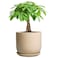 SUNPOTFOR Ceramic Plant Pot 7 Inch Mid Century Round Ceramic Planter for Indoor Plants with Drainage Hole and Saucer Modern Home Decor Yellow