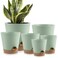 YNNICO Indoor Self Watering Planters with Drainage Holes and Saucers 8 7 65 6 55 5 Inches Green 6 Pots