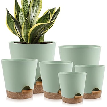 YNNICO Indoor Self Watering Planters with Drainage Holes and Saucers 8 7 65 6 55 5 Inches Green 6 Pots