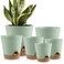YNNICO Indoor Self Watering Planters with Drainage Holes and Saucers 8 7 65 6 55 5 Inches Green 6 Pots