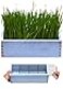BENPIN Wooden Cat Grass Planter no Seeds Included for Indoor Cats