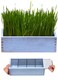BENPIN Wooden Cat Grass Planter no Seeds Included for Indoor Cats