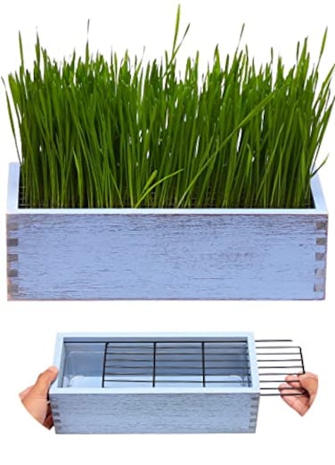 BENPIN Wooden Cat Grass Planter no Seeds Included for Indoor Cats