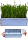 BENPIN Wooden Cat Grass Planter no Seeds Included for Indoor Cats