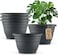 RooTrimmer 5 Pack 10 Inch Plant Pots for Indoor OutdoorPlastic Floor Planters with Drainage HolesLightweight Flower Pots for HomePatio GardenGrey