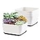 Oliz Succulent Pots 6 Inch Shallow Herb Planters with Drainage Hole 4 Packs Cactus Planter for Home Office Garden Plants Pot Present Plants Not Included Off White