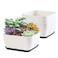 Oliz Succulent Pots 6 Inch Shallow Herb Planters with Drainage Hole 4 Packs Cactus Planter for Home Office Garden Plants Pot Present Plants Not Included Off White