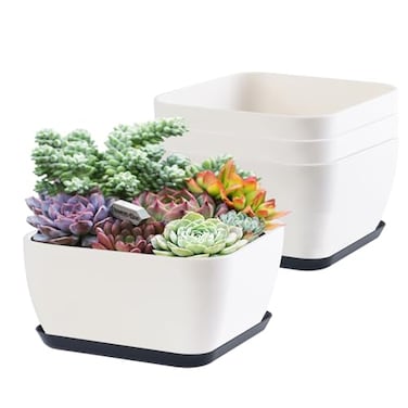 Oliz Succulent Pots 6 Inch Shallow Herb Planters with Drainage Hole 4 Packs Cactus Planter for Home Office Garden Plants Pot Present Plants Not Included Off White