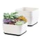 Oliz Succulent Pots 6 Inch Shallow Herb Planters with Drainage Hole 4 Packs Cactus Planter for Home Office Garden Plants Pot Present Plants Not Included Off White