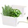 Oliz Self Watering Planters 2 Packs Rectangular Plant Pots with with Drainage and Tray 10 Inch Window Pot Self Watering Planter for Herb Houseplants