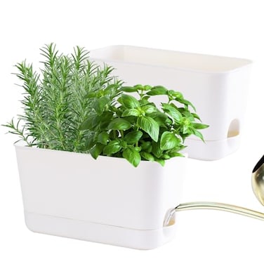 Oliz Self Watering Planters 2 Packs Rectangular Plant Pots with with Drainage and Tray 10 Inch Window Pot Self Watering Planter for Herb Houseplants