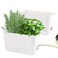Oliz Self Watering Planters 2 Packs Rectangular Plant Pots with with Drainage and Tray 10 Inch Window Pot Self Watering Planter for Herb Houseplants