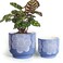 YBX YIBOXUAN YBX 8 Inch 6 Inch White Flower Pattern Plant Pots Sand Glazed Ceramic Planter with Drainage Hole Flower Pots for Indoor Plants Blue