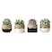 Mkono 3 Inch Mini Succulent Pots Concrete Planter Set Modern Tiny Container for Indoor Plants Christmas Home Office Decor Gifts for Plant Lovers Plant NOT Included