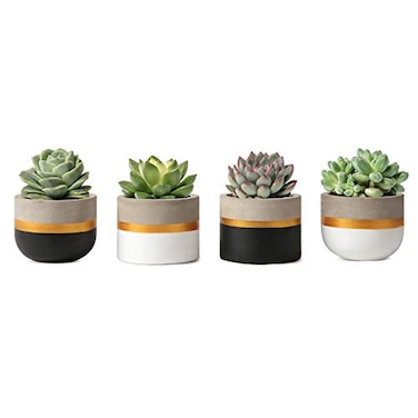 Mkono 3 Inch Mini Succulent Pots Concrete Planter Set Modern Tiny Container for Indoor Plants Christmas Home Office Decor Gifts for Plant Lovers Plant NOT Included