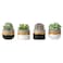 Mkono 3 Inch Mini Succulent Pots Concrete Planter Set Modern Tiny Container for Indoor Plants Christmas Home Office Decor Gifts for Plant Lovers Plant NOT Included