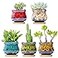 LamDawn Cute Ceramic Succulent Garden Pots Planter with Drainage and Attached Saucer Set of 5 Plants Not Included Fambe