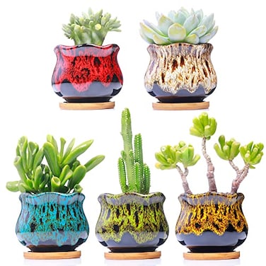 LamDawn Cute Ceramic Succulent Garden Pots Planter with Drainage and Attached Saucer Set of 5 Plants Not Included Fambe