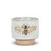 Abbott Collection 27CRITTER844SM Small Single Emboss Bee Planter 3 H