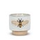 Abbott Collection 27CRITTER844SM Small Single Emboss Bee Planter 3 H