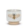 Abbott Collection 27CRITTER844SM Small Single Emboss Bee Planter 3 H